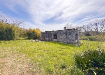 Giardino - Villa Via del pontone lungo
 
35, Manziana - photo 25