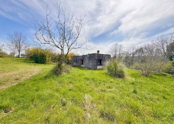 Giardino - Villa Via del pontone lungo
 
35, Manziana - photo 26