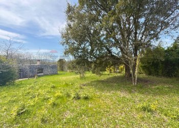 Giardino - Villa Via del pontone lungo
 
35, Manziana - photo 27