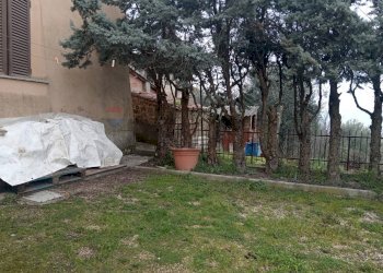 Giardino - Casa semi indipendente Via Baldi
 
69, Piegaro - foto 7