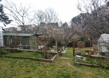 Giardino - Casa semi indipendente Via Baldi
 
69, Piegaro - foto 8