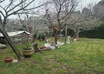 Giardino - Casa semi indipendente Via Baldi
 
69, Piegaro - foto 12