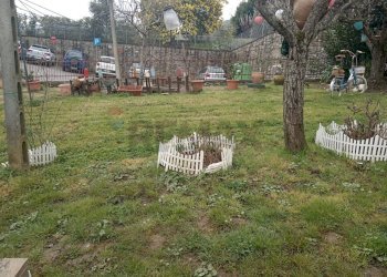 Giardino - Casa semi indipendente Via Baldi
 
69, Piegaro - foto 20