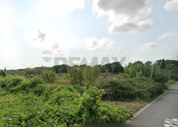 Edificio all\'aperto - Terreno agricolo sp 23b, Nettuno - foto 3