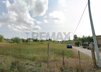 Giardino - Terreno agricolo sp 23b, Nettuno - foto 4