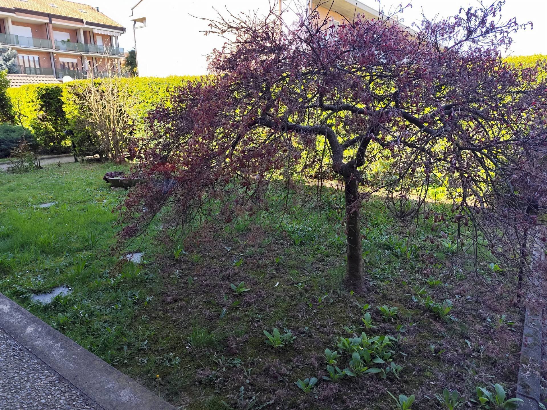 Giardino - Villa a Schiera via villastellone
 
10, Chieri - foto 1