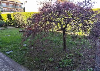 Giardino - Villa a Schiera via villastellone
 
10, Chieri - foto 2