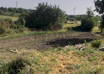 Giardino - Terreno agricolo contrada bradia, Sortino - foto 6