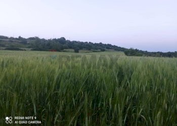 Vista delle montagne - Terreno agricolo contrada bradia, Sortino - foto 8