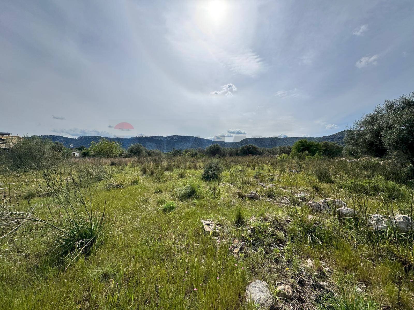 Terreno - Terreno agricolo Contrada Bondife'
 
snc, Priolo Gargallo - foto 1