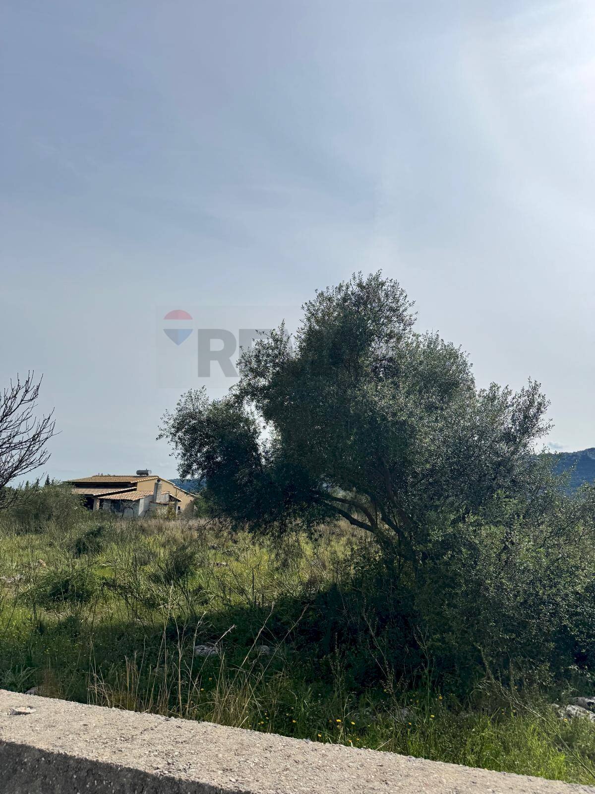 Terreno - Terreno agricolo Contrada Bondife'
 
snc, Priolo Gargallo - foto 2