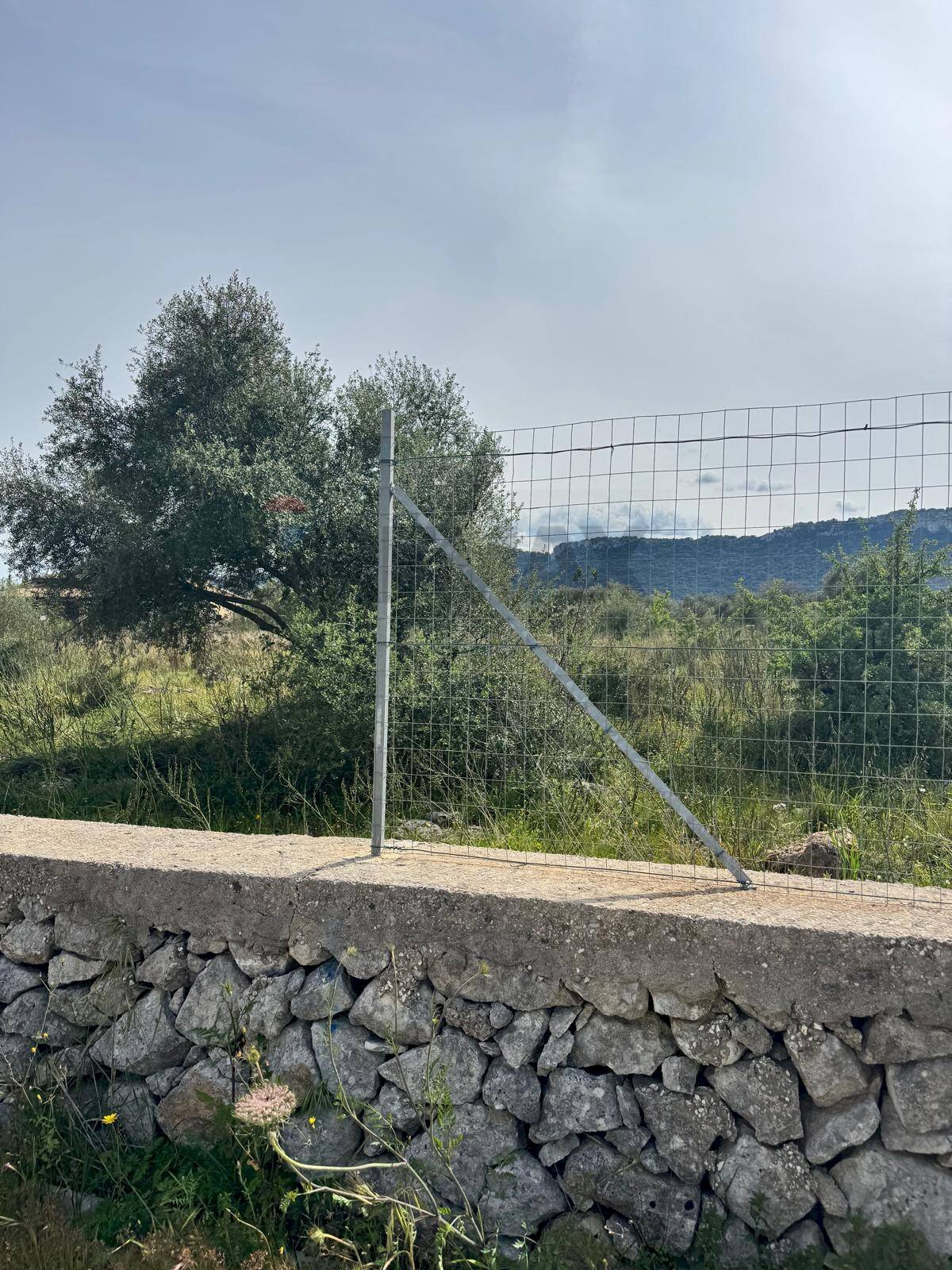 Terreno - Terreno agricolo Contrada Bondife'
 
snc, Priolo Gargallo - foto 3