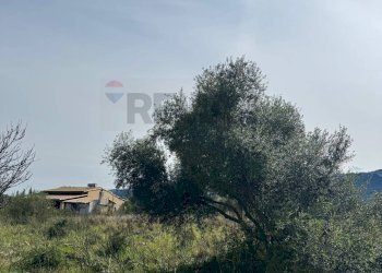 Terreno - Terreno agricolo Contrada Bondife'
 
snc, Priolo Gargallo - foto 2