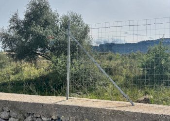 Terreno - Terreno agricolo Contrada Bondife'
 
snc, Priolo Gargallo - foto 3