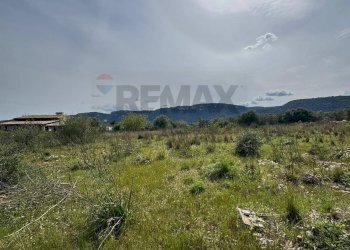 Terreno - Terreno agricolo Contrada Bondife'
 
snc, Priolo Gargallo - foto 6