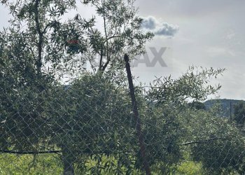 Terreno - Terreno agricolo Contrada Bondife'
 
snc, Priolo Gargallo - foto 9