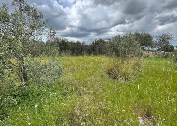 Terreno - Terreno agricolo Contrada Bondife'
 
snc, Priolo Gargallo - foto 10