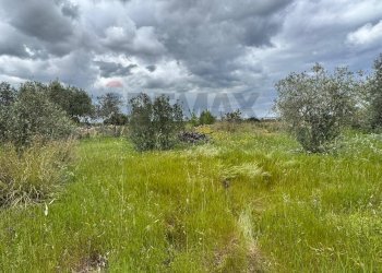 Terreno - Terreno agricolo Contrada Bondife'
 
snc, Priolo Gargallo - foto 11