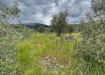 Terreno - Terreno agricolo Contrada Bondife'
 
snc, Priolo Gargallo - foto 13