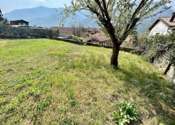 Giardino - Trilocale Endine Gaiano - foto 3