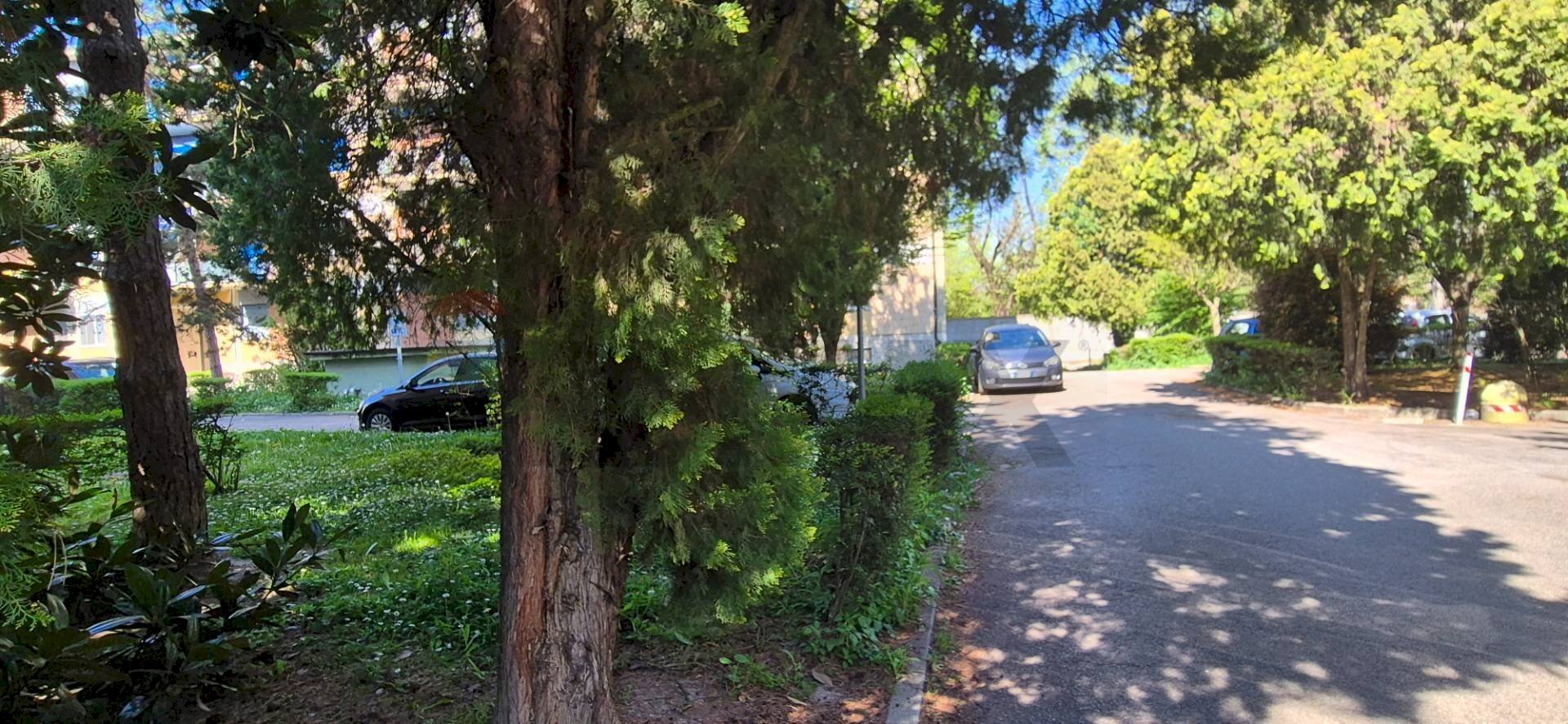 Giardino - Appartamento Via Pomposa
 
31, Ferrara - foto 2