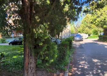 Giardino - Appartamento Via Pomposa
 
31, Ferrara - foto 2