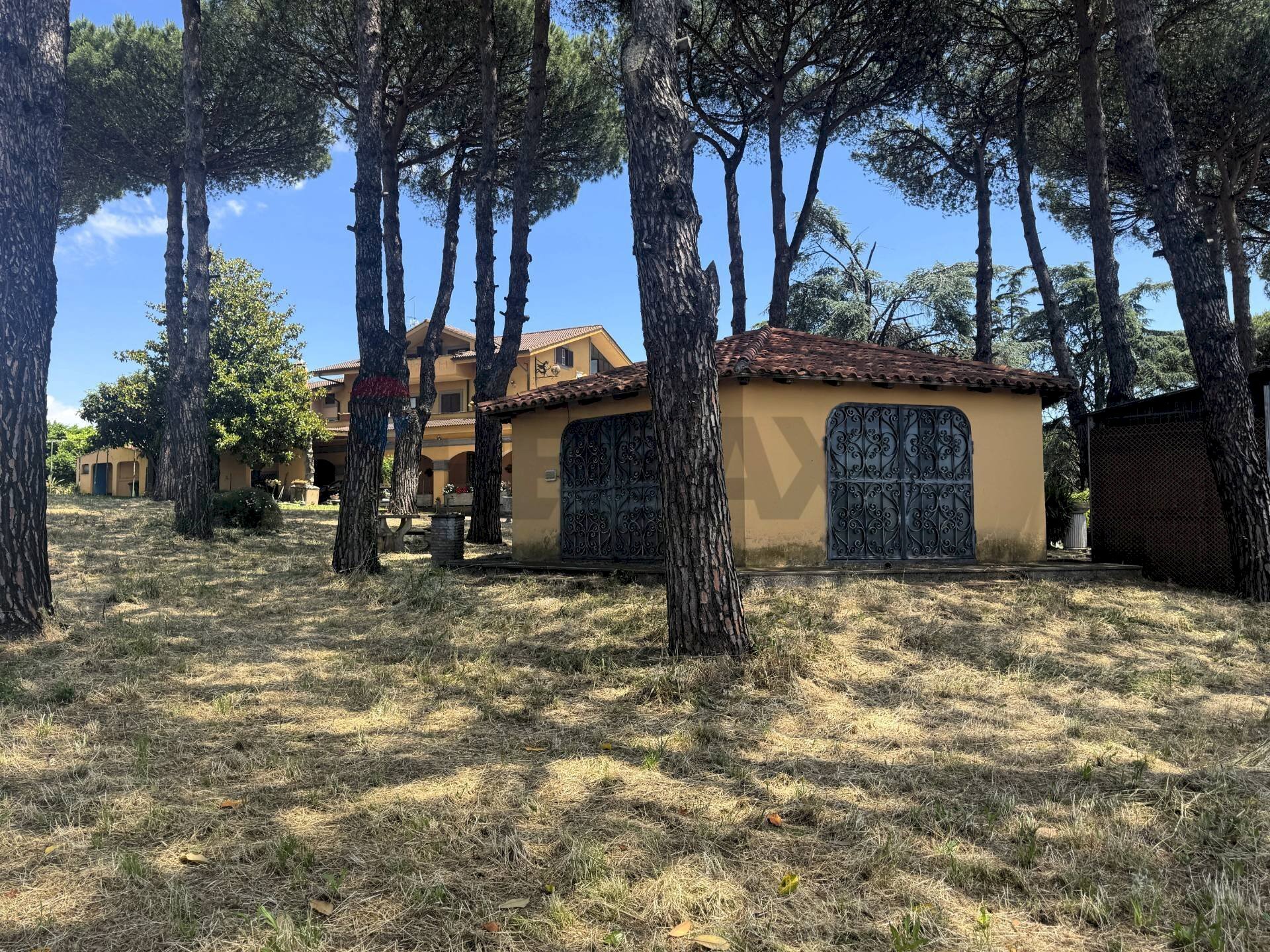 Casa all\'aperto - Villa Via della Tenutella
 
74, Albano Laziale - photo 2