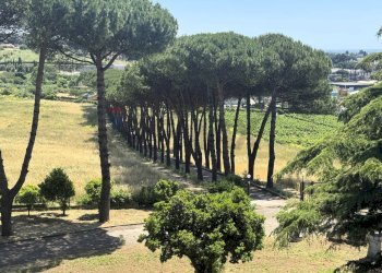 Giardino - Villa Via della Tenutella
 
74, Albano Laziale - photo 68