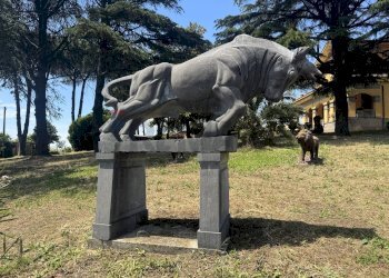 Giardino - Villa Via della Tenutella
 
74, Albano Laziale - photo 81