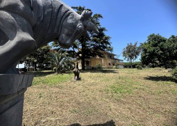 Giardino - Villa Via della Tenutella
 
74, Albano Laziale - photo 82