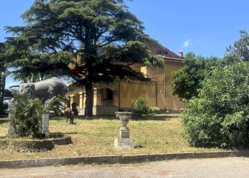 Giardino - Villa Via della Tenutella
 
74, Albano Laziale - photo 93