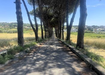 Non correlato - Villa Via della Tenutella
 
74, Albano Laziale - photo 94