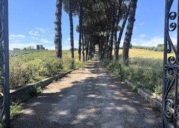 Non correlato - Villa Via della Tenutella
 
74, Albano Laziale - photo 95