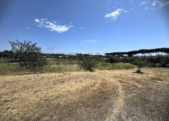 Vista delle montagne - Villa Via della Tenutella
 
74, Albano Laziale - photo 128