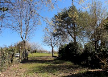 Foto 29 - Trilocale Strada Revigliasco
 
305, Moncalieri - foto 29