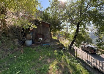 Giardino - Casa semi indipendente Via della Torre Boveglio, Villa Basilica - foto 14