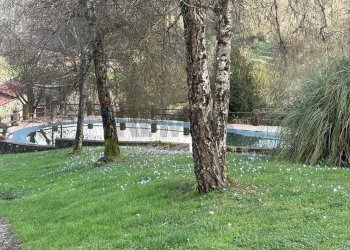 Giardino - Villa via lodovica gioviano
 
snc, Borgo a Mozzano - foto 7