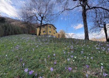 Edificio all\'aperto - Villa via lodovica gioviano
 
snc, Borgo a Mozzano - foto 9