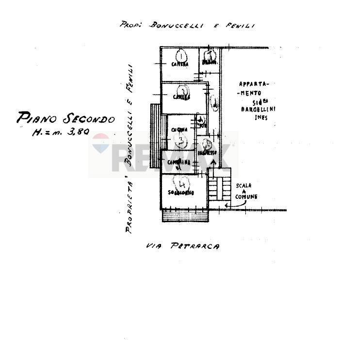 Pianta 2D - Appartamento Camaiore - planimetria 1