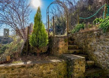 Giardino - Casa semi indipendente Borgo a Mozzano - foto 36