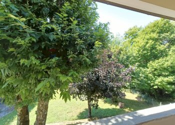 Giardino - Villa Bagni di Lucca - foto 35