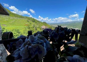 Vista delle montagne - Casa indipendente Borgo a Mozzano - foto 14
