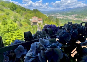 Palestra - Casa indipendente Borgo a Mozzano - foto 15