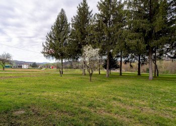 Giardino - Independent house Via All'Isola
 
14, Noceto - photo 8