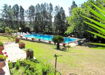 Piscina - Villa Via Arturo Pompeato Luchini, Fiumicino - foto 2