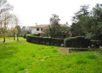 Giardino - Villa Via Arturo Pompeato Luchini, Fiumicino - foto 45