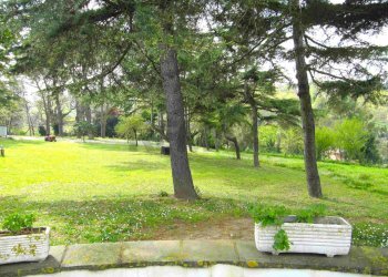 Giardino - Villa Via Arturo Pompeato Luchini, Fiumicino - foto 52