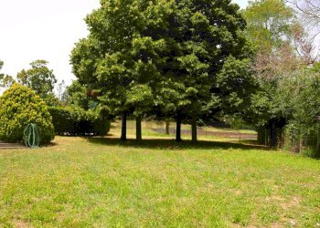 Giardino - Villa Via Arturo Pompeato Luchini, Fiumicino - foto 53