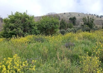 Foto 27 - Casa indipendente via San Giuseppe di Sommana, Caserta - foto 27