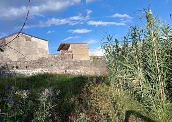 Foto 28 - Casa indipendente via San Giuseppe di Sommana, Caserta - foto 28